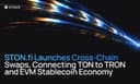 Đột phá Cross-Chain: STON.fi kết nối TON với hệ sinh thái TRON và EVM