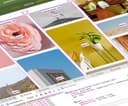 What’s !important #13: Khám phá sức mạnh của @function, hàm alpha() và những cập nhật CSS mới nhất