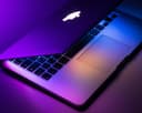 Nghịch lý kết nối: Khi lập trình viên muốn rời bỏ Internet để tìm lại sự cân bằng