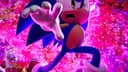 Sega và bài toán chuyển đổi số: Khi văn hóa đĩa vật lý đối đầu với thực tại kỹ thuật số