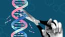 Đột phá trong kỹ thuật chỉnh sửa gen: Khi AlphaFold AI trở thành chìa khóa tối ưu hóa độ an toàn của protein