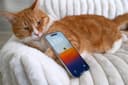 Trải nghiệm iPhone Air sau 9 tháng: Đỉnh cao thiết kế hay sự đánh đổi quá đắt?