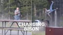 Bài học về an toàn và rủi ro trong môi trường thực tế: Góc nhìn từ sự cố tại Yellowstone