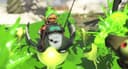 Splatoon Raiders: Khi cộng đồng người chơi định nghĩa lại tiêu chuẩn xếp hạng trên Metacritic