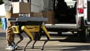 Boston Dynamics thử nghiệm Spot: Robot bốn chân giải quyết bài toán giao hàng chặng cuối