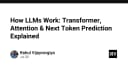 Giải mã LLM: Kiến trúc Transformer, Cơ chế Attention và Dự đoán Token tiếp theo