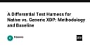 Xây dựng Differential Test Harness cho XDP: Phương pháp luận và Baseline hiệu năng