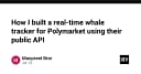 Xây dựng hệ thống theo dõi dữ liệu Real-time cho Polymarket: Hướng dẫn kỹ thuật từ API công khai