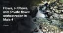 Làm chủ Orchestration trong Mule 4: Phân biệt Flows, Subflows và Private Flows