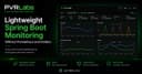 Giám sát Spring Boot siêu nhẹ mà không cần Prometheus và Grafana: Giải pháp tối ưu cho VPS