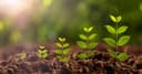 SwiftData 2027: Bước tiến mới trong quản lý dữ liệu với Codable và Observation