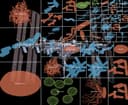 Giải mã sự sống ngoài không gian: Hướng dẫn phân tích Metagenomics trên Trạm Vũ trụ Quốc tế (ISS)